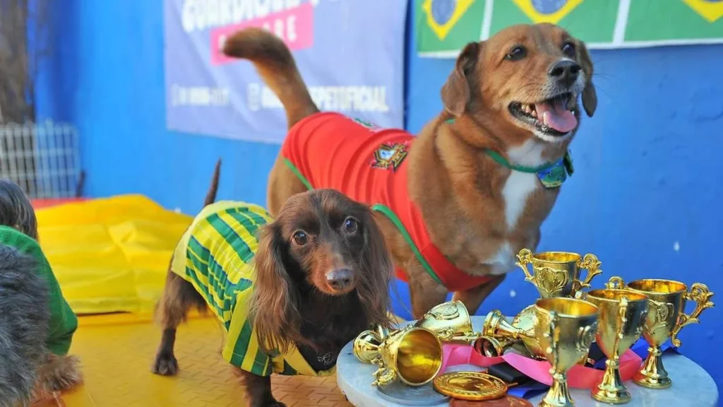 Copa do Mundo dos Pets em Porto Alegre: Diversão e Integração Canina