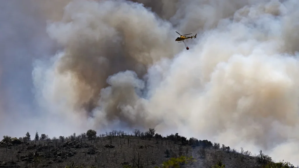 Incêndios Devastadores Consumiram Mais de 17 Mil Hectares na Europa Durante Onda de Calor Extrema Incêndios Devastadores Consumiram Mais de 17 Mil Hectares na Europa Durante Onda de Calor Extrema