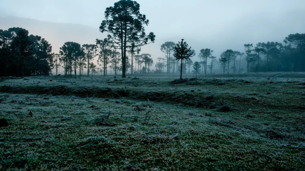 Clima em Julho no Brasil: Frio Intenso e Chuva Acima da Média em 2026